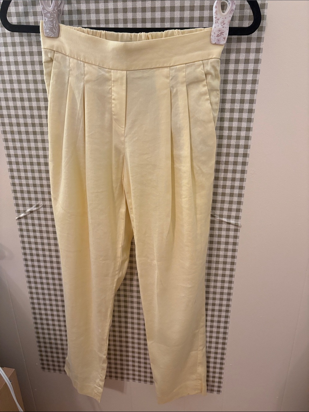 Aritiza Dress Pants